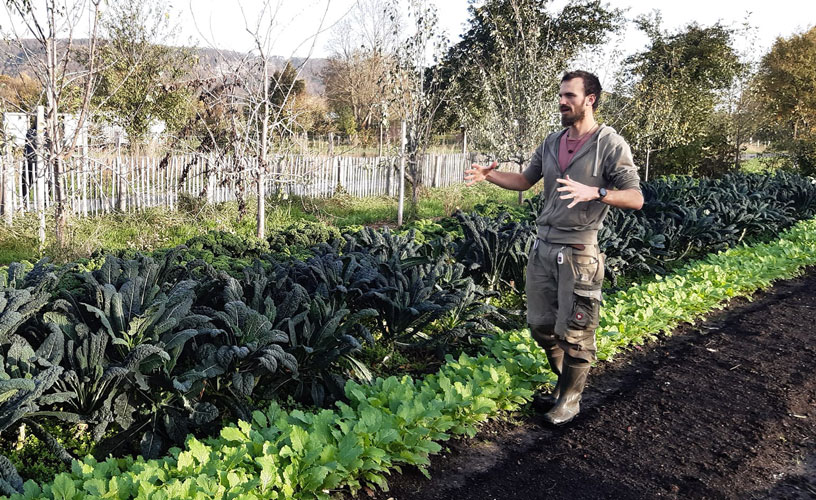 Regenerative Farming Germany